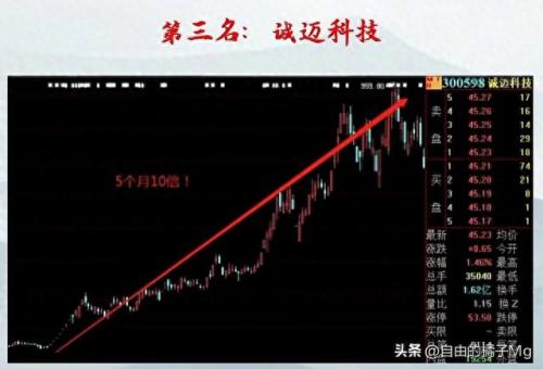 股市十大最牛股票排行榜(最牛的十大股票)插图7