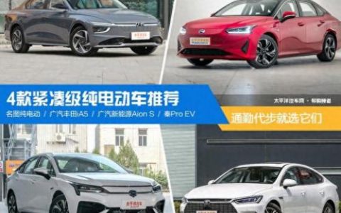 经济型电动汽车排名前十(商用电动汽车排名前十)