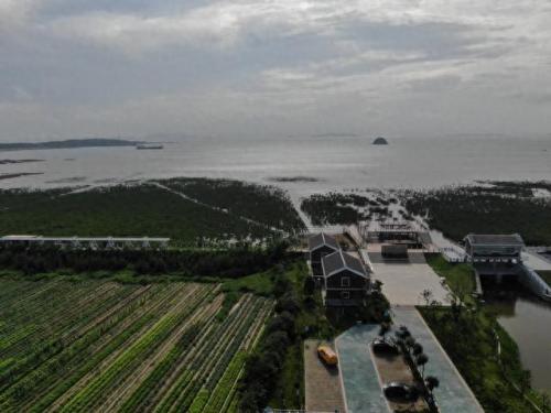 莆田玻璃幕墙清洗排名前十(镀膜幕墙玻璃清洗方法)插图1