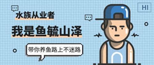 [山泽仪式石](山泽仪式石在哪刷)插图