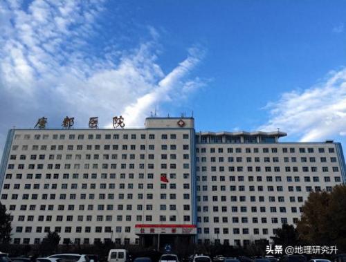 西安大雁塔医院排名前十(西安大雁塔旁边有哪些医院)插图7