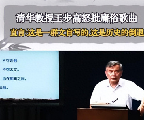 十大网络歌曲神曲排行榜(十大网络神曲最火歌曲完整)插图3