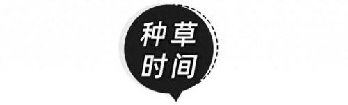 十大奢侈品杯子排行榜图片(纸杯子十大品牌排行榜)插图6