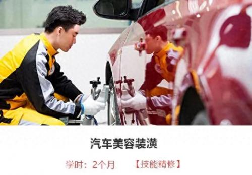 吉林省十大美容学校排行榜(十大最坑宠物美容学校)插图3