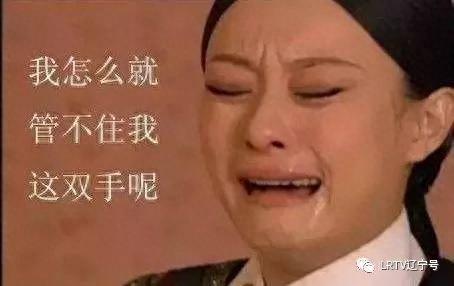 辽宁网购大数据排名前十(2017年网购平台排名)插图17