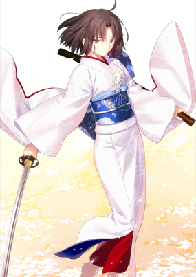 两仪式saber技能(sabervslancer)插图