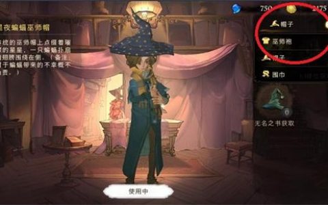 哈利波特魔法觉醒巫师帽怎么获得(哈利波特魔法觉醒浣熊帽怎么获得)