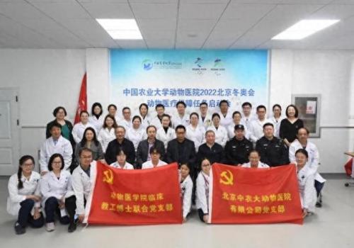北京十大动物医院排行榜(北京动物医院排行)插图2