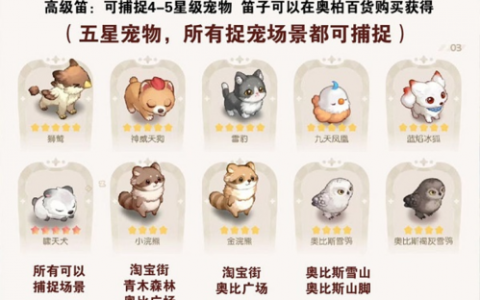 奥比岛手游五星宠物怎么捕捉(奥比岛手游捕捉宠物)