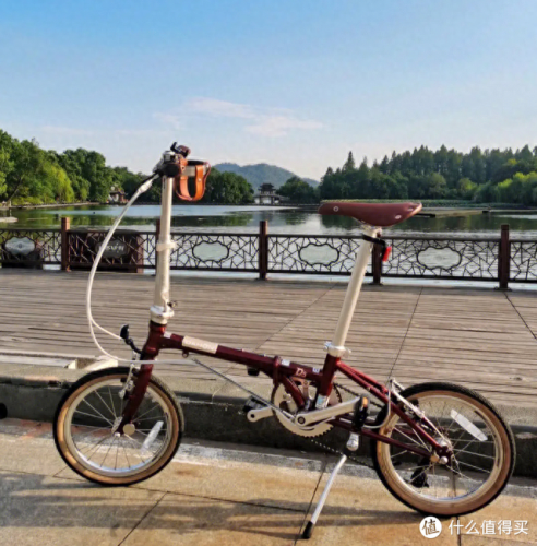 折叠车专业排名前十(儿童折叠自行车排名前十名)插图6