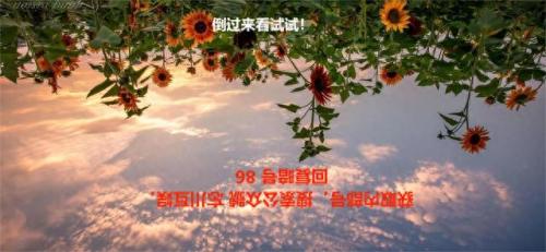 手游丐帮攻略(天刀丐帮92级攻略)插图2