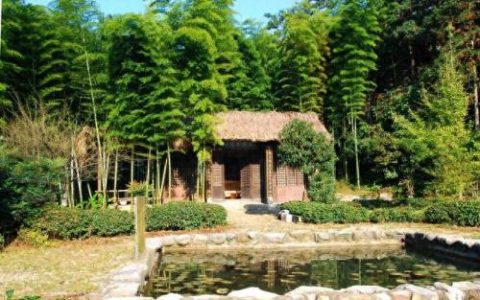 九江十大民宿排行榜(九江好玩的地方)