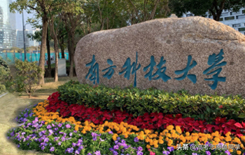 深圳市的 大学 排名前十(深圳市重点大学排名)插图