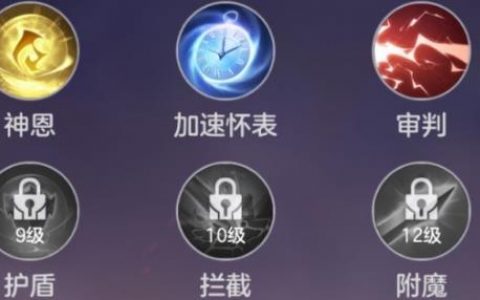 曙光英雄几级有惩戒(惩戒几级解锁)