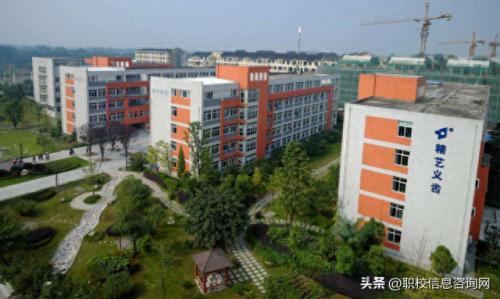 成都公立技校排名前十小学(茶店小学在成都排名)插图