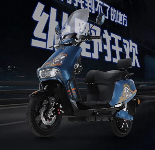 大马力电瓶车排名前十(电瓶车排名前十名及价格)插图2