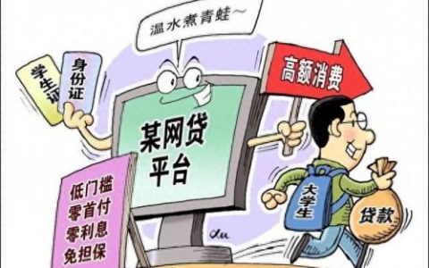 全球排名前十的网络贷款(巨象网络服务贷款怎么样)