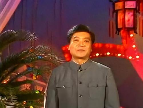 全球资讯主持人排名前十(全球十大主持人排行榜)插图26