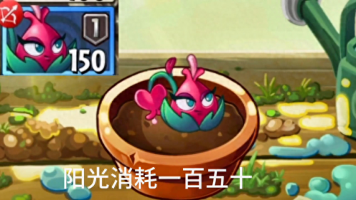 卷心菜投手(卷心菜投手的一生)插图