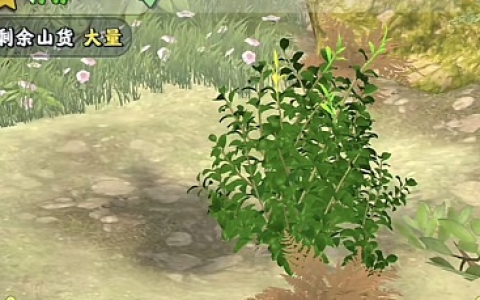 夺笋高手婺源茗眉怎么获得(婺源哪里拔笋)