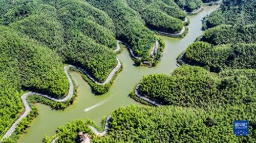 杭州防腐竹地板排名前十(防腐竹地板十大排名)插图3