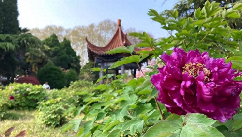 安徽泡温泉十大排行榜(安徽哪里有名的温泉排名)插图4