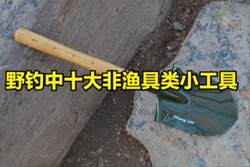 鱼护袋十大排行榜(专用鱼护袋)插图2