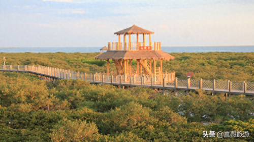 北海旅游十大必去景点排行榜(北海必去6大景点)插图7