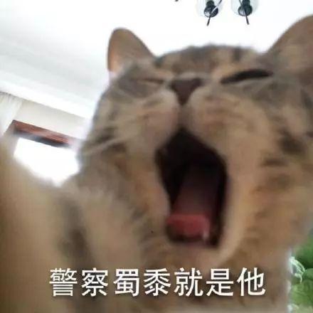 十大沙雕碰瓷排行榜图(沙雕动画碰瓷)插图15