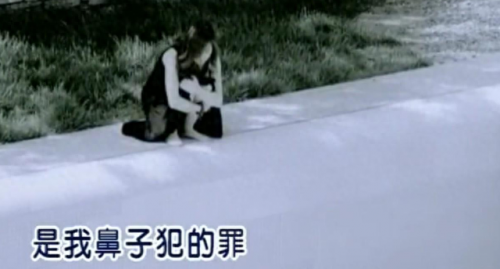 十大网络歌曲神曲排行榜(十大网络神曲最火歌曲完整)插图19