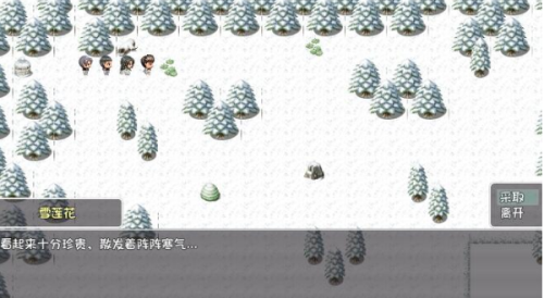 大千世界雪莲花怎么得(雪莲花视频)插图1