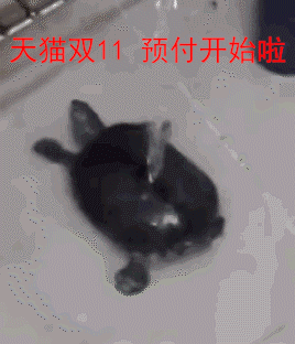 新乡各种面膜十大排行榜(十大品牌面膜排行)插图14