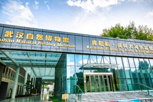 武汉最大的博物馆排名前十(武汉最大博物馆叫什么)插图23