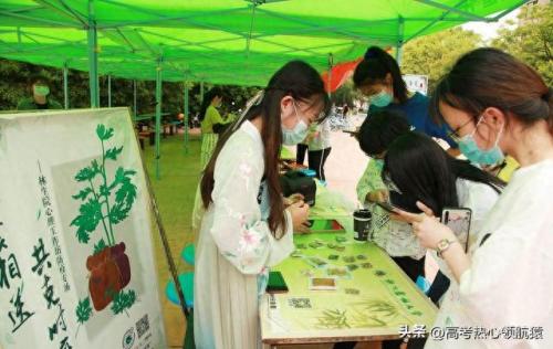 十大农村好学校排行榜山东(2020山东最好民办学校排名)插图3
