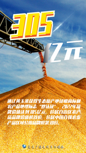 内蒙古玉米品牌排名前十(内蒙古燕麦片的品牌)插图1