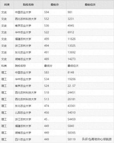 十大农村好学校排行榜山东(2020山东最好民办学校排名)插图4