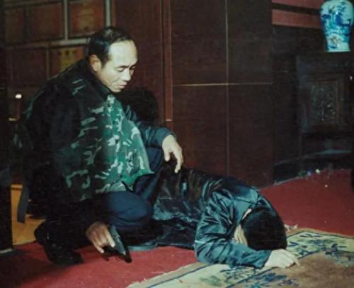 抗日枪战片电视剧排名前十(枪战抗日电视剧大全)插图27