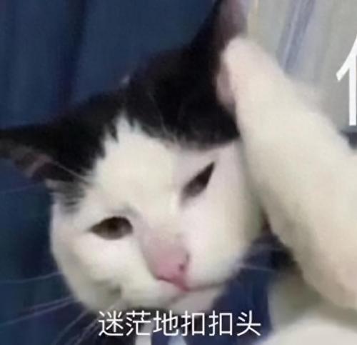 国外乒乓球播放量排名前十(排名前十的乒乓球)插图22