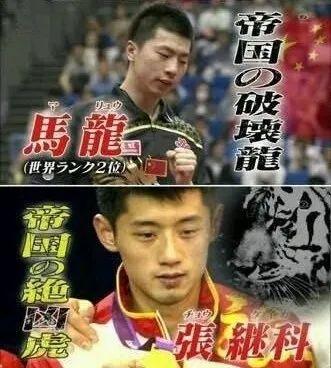国外乒乓球播放量排名前十(排名前十的乒乓球)插图30