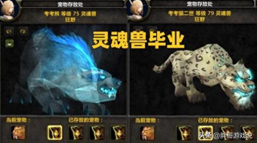 6.0灵魂兽(60级灵魂兽)插图1