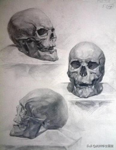 俄罗斯十大画室排行榜第一(桂林十大画室排名)插图48