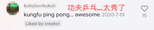 国外乒乓球播放量排名前十(排名前十的乒乓球)插图24