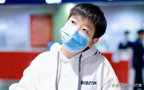 乒乓球世界高手排名前十(世界顶尖乒乓球排名前十)