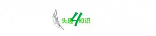 世界最危险便利店排名前十(世界十大危险的地方)插图12