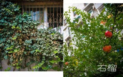 徐州十大石锅菜排行榜(五中石锅菜地址)插图5