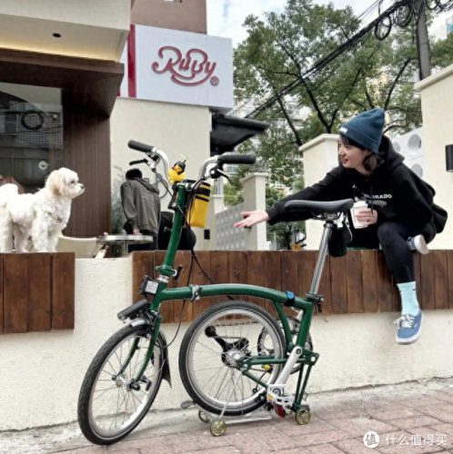 折叠车专业排名前十(儿童折叠自行车排名前十名)插图19