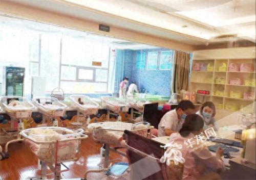 沙坪坝育婴师培训排名前十(沙坪坝假日培训学校怎么样)插图3