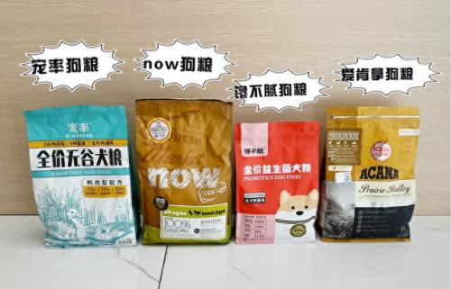 十大耐活宠物狗排行榜(目前最受欢迎宠物狗排行榜)插图11