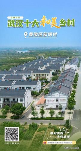 武汉乡村旅游区排名前十(武汉民宿排名前十)插图1