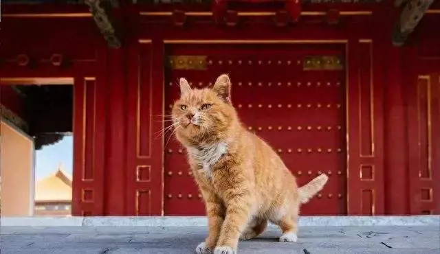 雅典亲子游十大排行榜(十大亲子游推荐)插图1